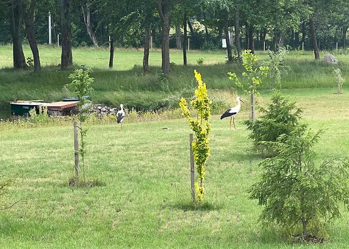 Komfortowy Domek Z Kominkiem